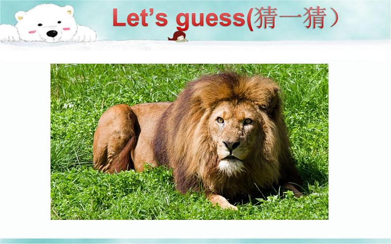 《 Lesson E Oh，You’re Baby Bear! 》 教学课件PPT+教案+练习07