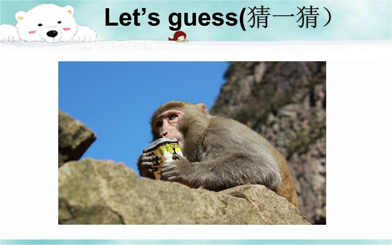 《 Lesson E Oh，You’re Baby Bear! 》 教学课件PPT+教案+练习08