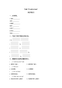 新版-牛津译林版三年级上册Unit 5 Look at me!巩固练习