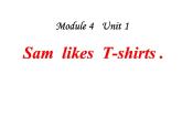 外研版（一起）英語二年級(jí)上冊(cè) Module4 Unit 1Sam likes T-shirts.教學(xué)（課件）