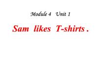 外研版 (一年级起点)二年级上册Unit 1 Sam likes T-shirts.教学课件ppt