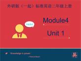外研版（一起）英語二年級(jí)上冊(cè) Module4 Unit 1Sam likes Tshirt（課件）