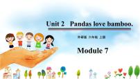 英语六年级上册Module 7Unit 2 Pandas love bamboo.集体备课ppt课件