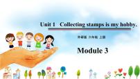 小学英语外研版 (三年级起点)六年级上册Module 3Unit 1 Collecting stamps is my hobby.备课课件ppt