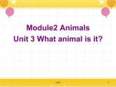 教科版六年级下册英语Unit 3《What animal is it》课件+教案+练习