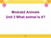 教科版六年级下册英语Unit 3《What animal is it》课件+教案+练习