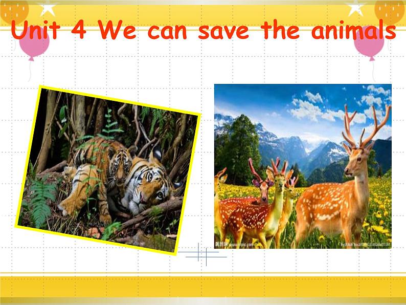 教科版六年级下册英语Unit 4《We can save the animals》课件+教案+练习01