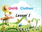 Unit 6 Clothes Lesson 1 课件 2