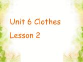 Unit 6 Clothes Lesson 2 课件3