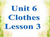 Unit 6 Clothes Lesson 3 课件3