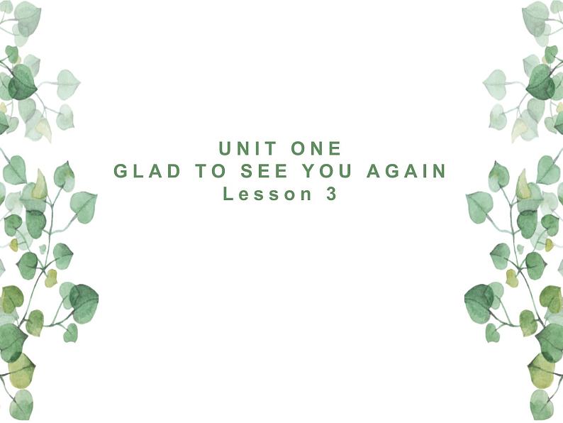 Unit 1 Glad to see you again Lesson 3  课件01