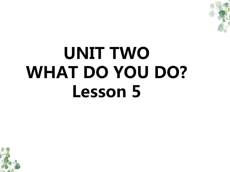 Unit 2 What do you do Lesson 5 课件01