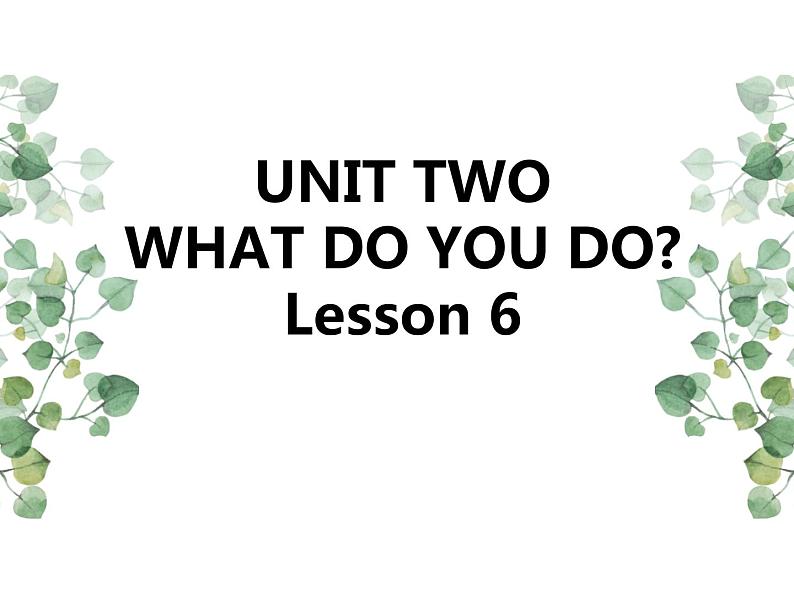 Unit 2 What do you do Lesson 6 课件01