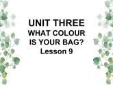 Unit 3 What colour is your bag Lesson 9 课件