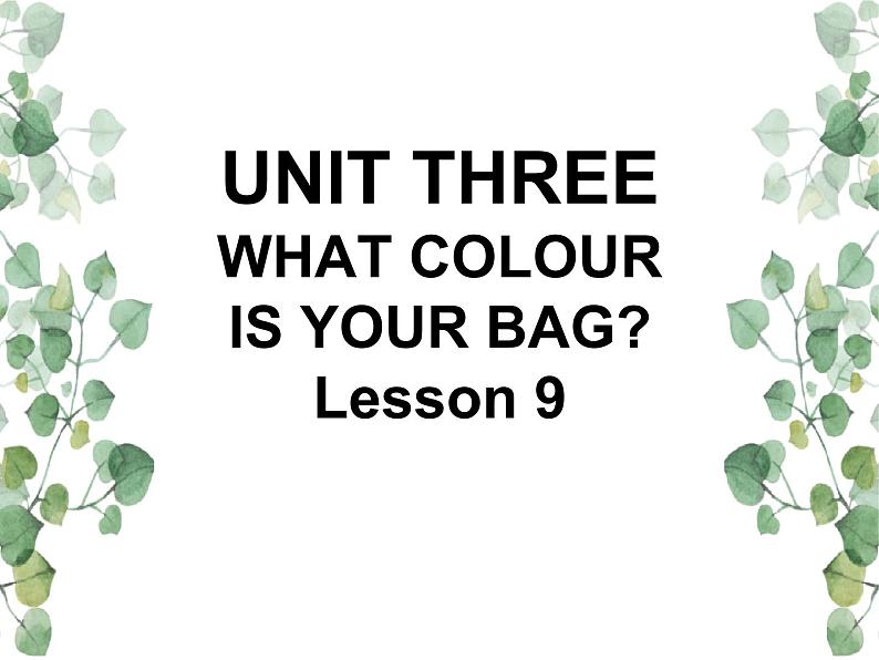 Unit 3 What colour is your bag Lesson 9 课件01