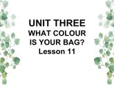 Unit 3 What colour is your bag Lesson 11 课件