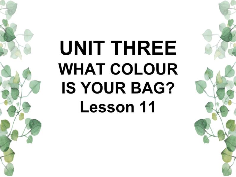 Unit 3 What colour is your bag Lesson 11 课件01