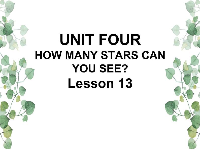 Unit 4 How many stars can you see Lesson 13 课件01