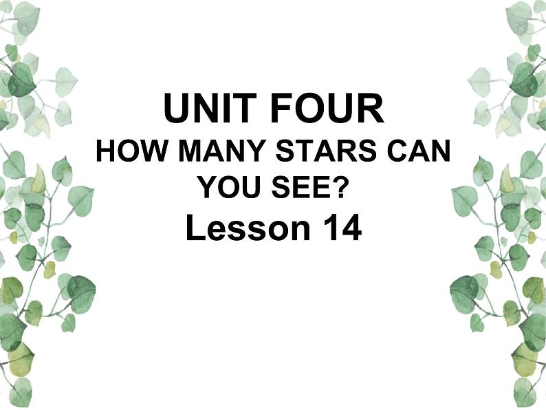 Unit 4 How many stars can you see Lesson 14 课件01