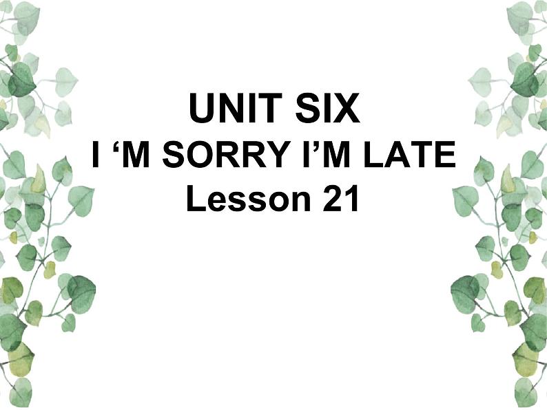 Unit 6  I’m sorry I’m late Lesson 21 课件1第1页