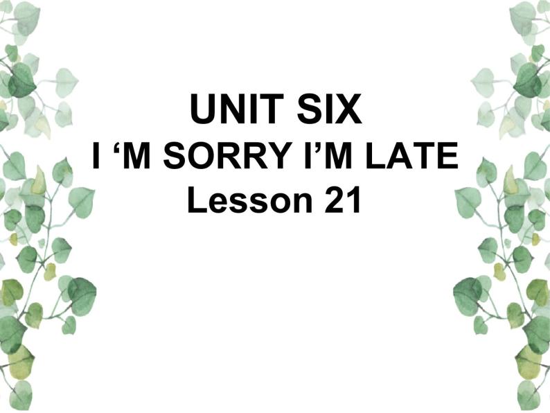 Unit 6  I’m sorry I’m late Lesson 21  课件201