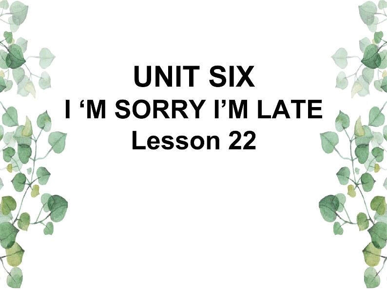 Unit 6  I’m sorry I’m late Lesson 22 课件201