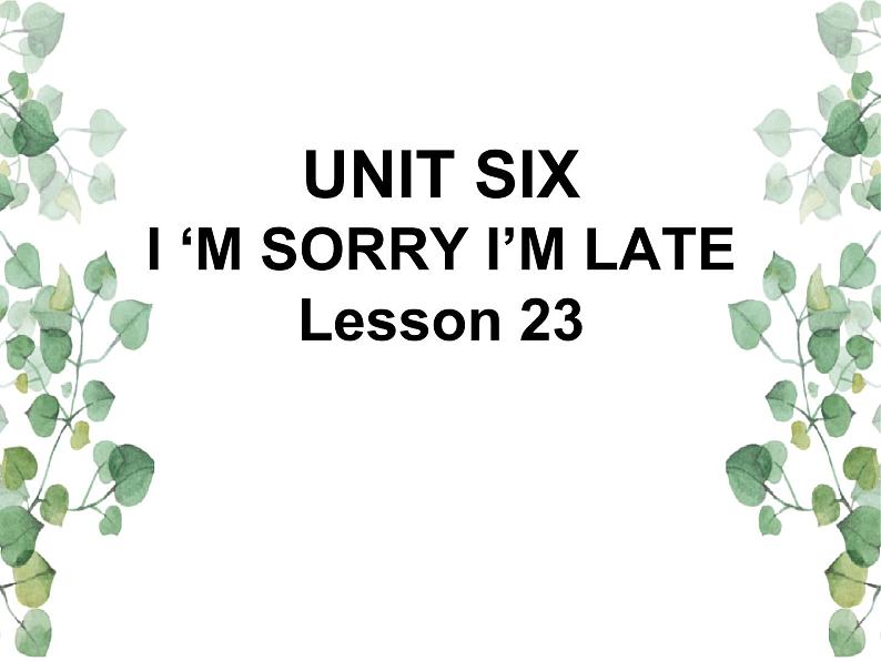 Unit 6  I’m sorry I’m late Lesson 23  课件101