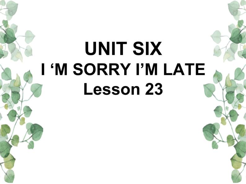 Unit 6  I’m sorry I’m late Lesson 23  课件201