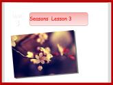 Unit 3 Seasons Lesson 3 课件 2