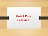 人教版（新起点）三年级英语上册Unit 4 Lesson 3  PPT课件