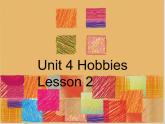 Unit 4 Hobbies Lesson 2 课件 2