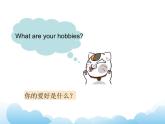 Unit 4 Hobbies Lesson 2 課件 2