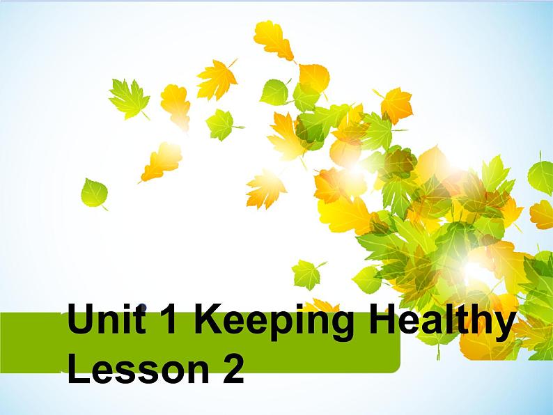 Unit 1 Keeping Healthy Lesson 2 课件 101