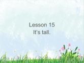 接力版小学英语三年级下册 Lesson15 It’s tall..课件
