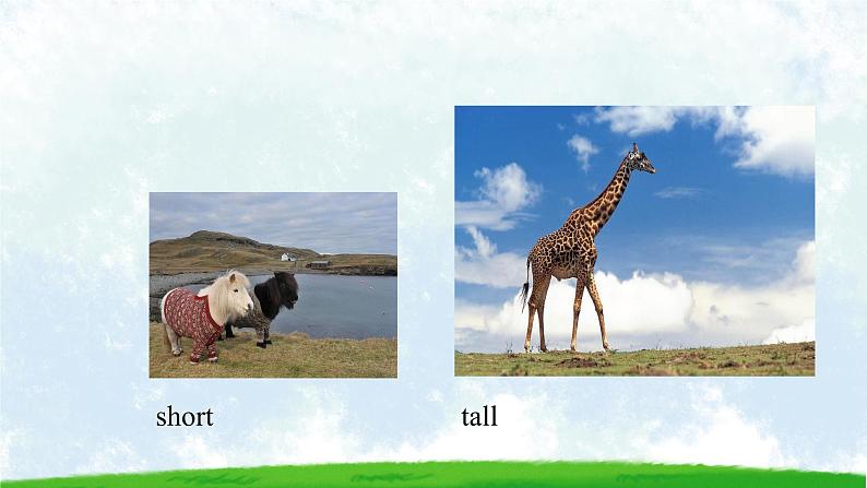 2021年接力版英语五年级下册 Lesson 7 Your parents were young then. 课件+教案+习题03