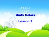人教版（新起点）一年级英语上册Unit5 Colors  Lesson2  课件