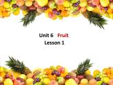 一年级上册英语人教版新起点Unit 6 lesson 1   课件