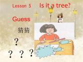 lesson 5  is it a tree 课件