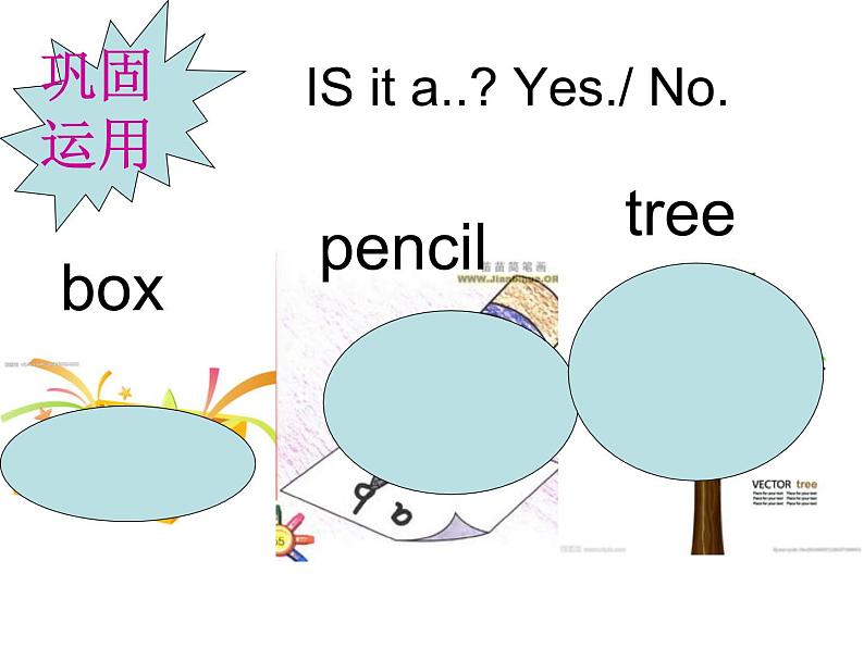 lesson 5  is it a tree 课件08