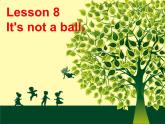 lesson 8 it's not a ball 课件