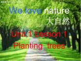 Lesson 1 planting trees 课件