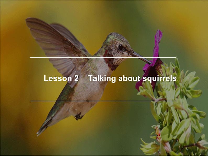 Lesson 1.2 talking about squirrels 课件01