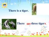 四年级下册英语课件-lesson 3 there are many animals ∣川教版(三年级起点) (2) (共19张PPT)