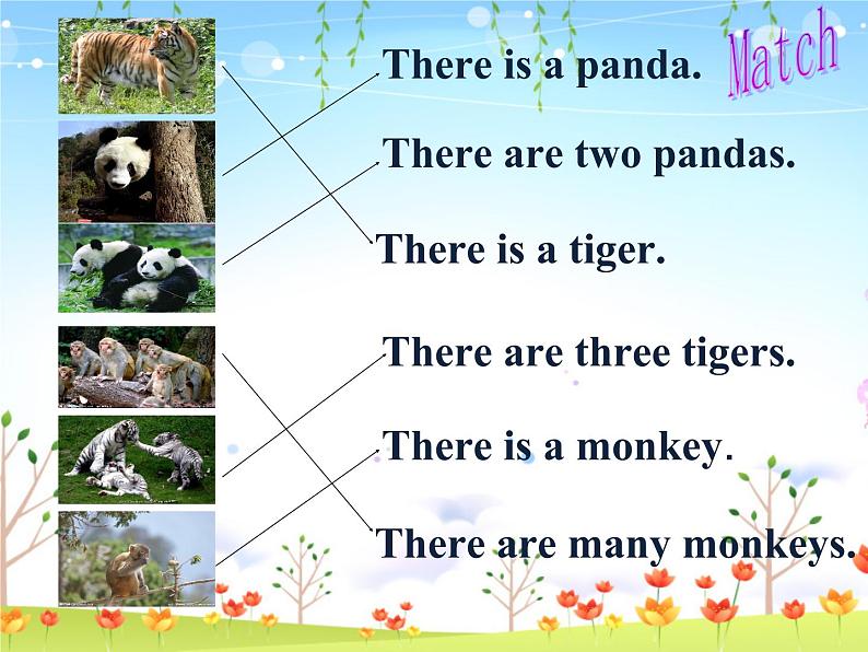 四年级下册英语课件-lesson 3 there are many animals ∣川教版(三年级起点) (2) (共19张PPT)06