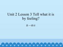 川教版六年级下册Unit 2 Colourful lifeLesson 3 Tell what it is by feeling图片课件ppt