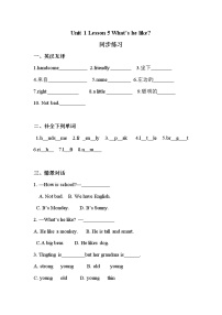 川教版四年级下册Lesson 5 What's he like?同步达标检测题