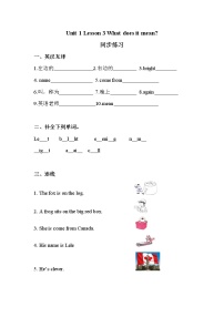 小学川教版Lesson 3 What does it mean?课后作业题