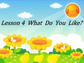 四年级下册英语课件-Lesson 4 what do you like？∣川教版(三年级起点) (5) (共19张PPT)