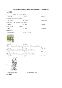 六年级下册英语试题-小升初英语专项训练 形容词 通用版（含答案解析）