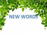五年級(jí)下冊(cè)英語(yǔ)課件-lesson 4 where do you live 課件1｜科普版（三起）(共18張ppt)